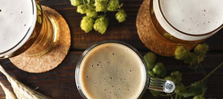 True North Ale: when a brewery becomes the heart of the community