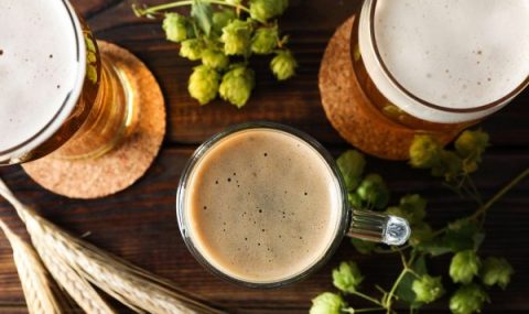 True North Ale: when a brewery becomes the heart of the community