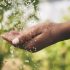 Water Conservation Measures Take Effect in Gloucester Due to Drought
